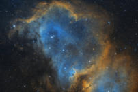 IC 1848