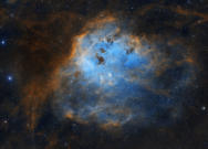 IC 410