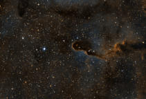 Elephant Trunk Nebula