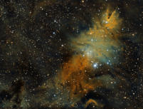 NGC 2264 Xmas Tree