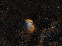 Tulip Nebula