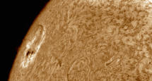 Sun Spot