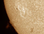 Sun Spot and Prominence