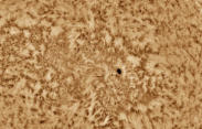 Sun Spot