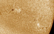 Sun Spot and Filament