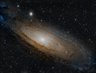 M31