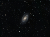 M81