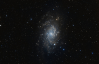 M 33